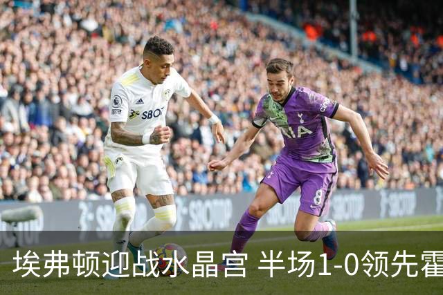 埃弗顿迎战水晶宫 半场1-0领先霍尔进球扭转局面